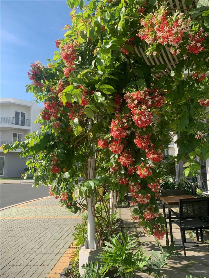 Bán căn góc siêu vip dragon village diện tích 120 giá từ 8.9 tỷ.  0934 002 ***