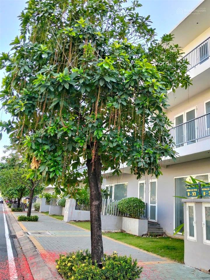 Bán 1 căn shophouse đường 30m dragon village long trường tphcm giá 8.5x tỷ