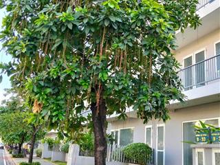 Bán 1 căn shophouse đường 30m dragon village long trường tphcm giá 8.5 tỷ