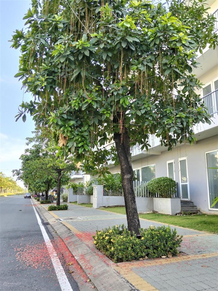 Bán 1 căn shophouse đường 30m dragon village long trường tphcm giá 8.5x tỷ