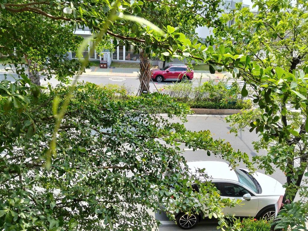 Đi canada định cư cần bán gấp căn shophouse dragon village trục 30m giá 7.450 tỷ