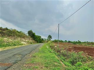 Hàng hiếm 70m mặt tiền đường nhựa tại tân thành, đức trọng, lâm đồng, 1,68 tỷ, tổng 2992m2