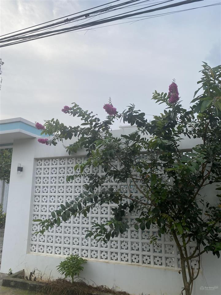 Cho thuê nhà nguyên căn tại đường tam long, xã kim long, tp hcm