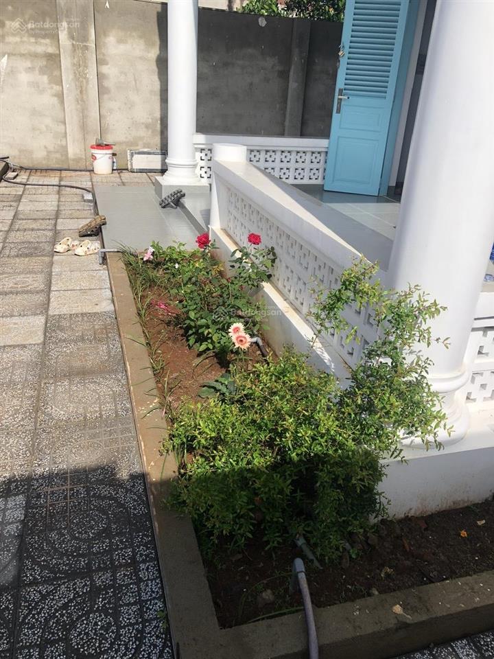 Cho thuê nhà nguyên căn tại đường tam long, xã kim long, tp hcm