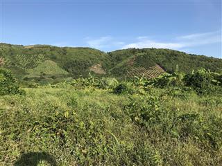Bán đất tại xã tân minh, lâm đồng 180 nghìn / m2, 86677 m2, hướng đông nam