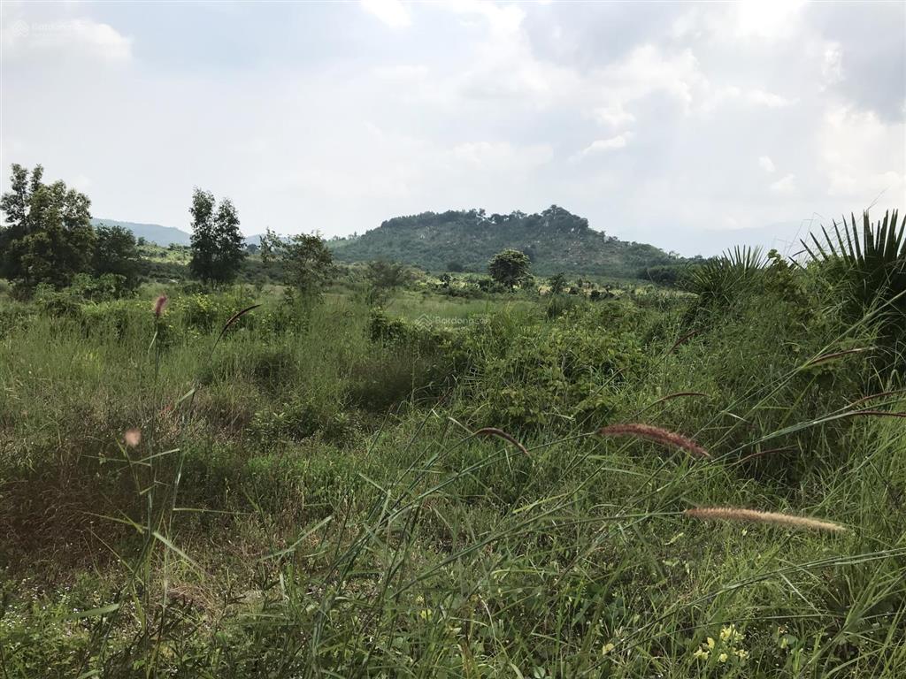 Bán 8863m2 đất chỉ 190k/m2, xã tân minh, lâm đồng, sát bên cao tốc, kcn tân đức sonadezi