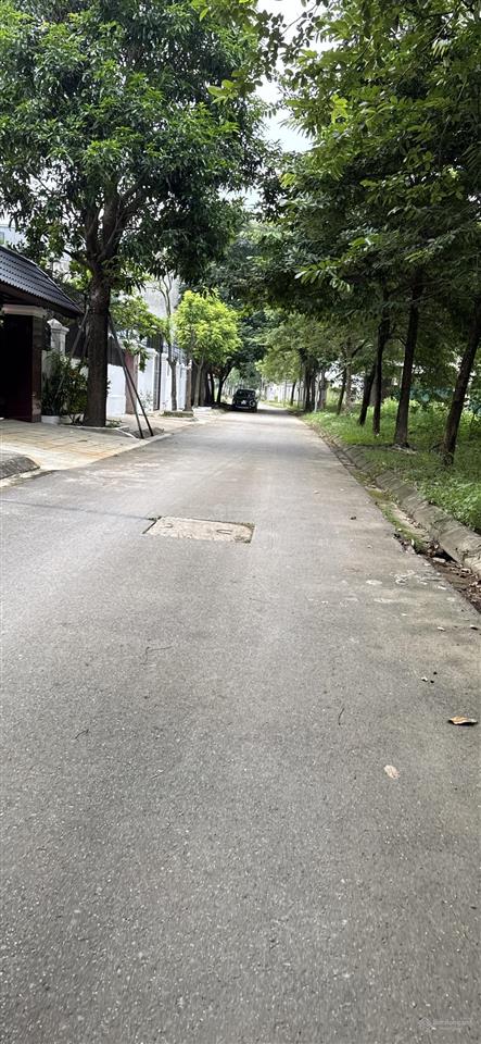 Bán đất biệt thự 300 m2 khu đô thị hà phong tại tiền phong, 41,5 triệu / m2, 300 m2, nhiều tiện ích
