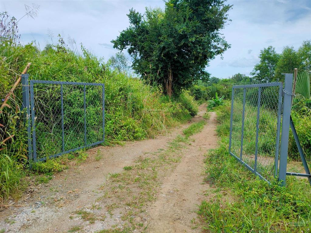 Bán lô đất 33m mặt tiền nhựa ở xã đá bạc, huyện châu đức, tỉnh bà rịa vũng tàu