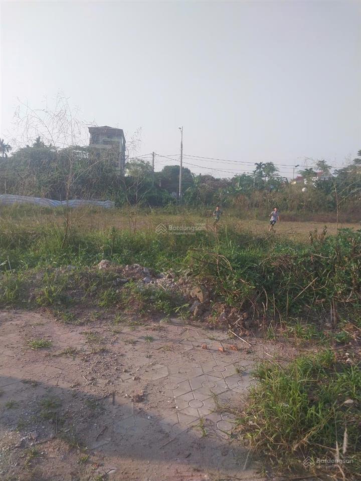 Cho thuê 6.500m2 đất bãi tại linh đường, hoàng liệt, hoàng mai