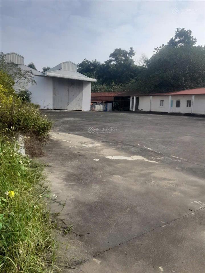 Cho thuê kho xưởng 3.000m2 tại cụm cn ninh sở  thường tín | đường xe cont tránh hđ dài hạn
