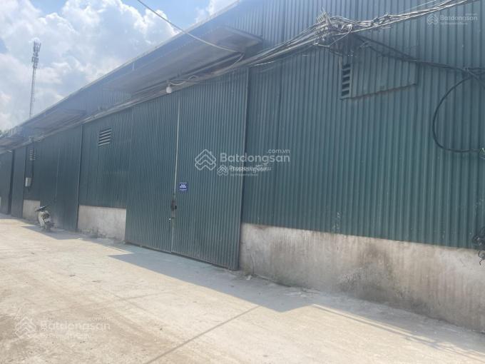 Cho thuê kho xưởng 3.000m2 tại cụm cn ninh sở  thường tín | đường xe cont tránh hđ dài hạn
