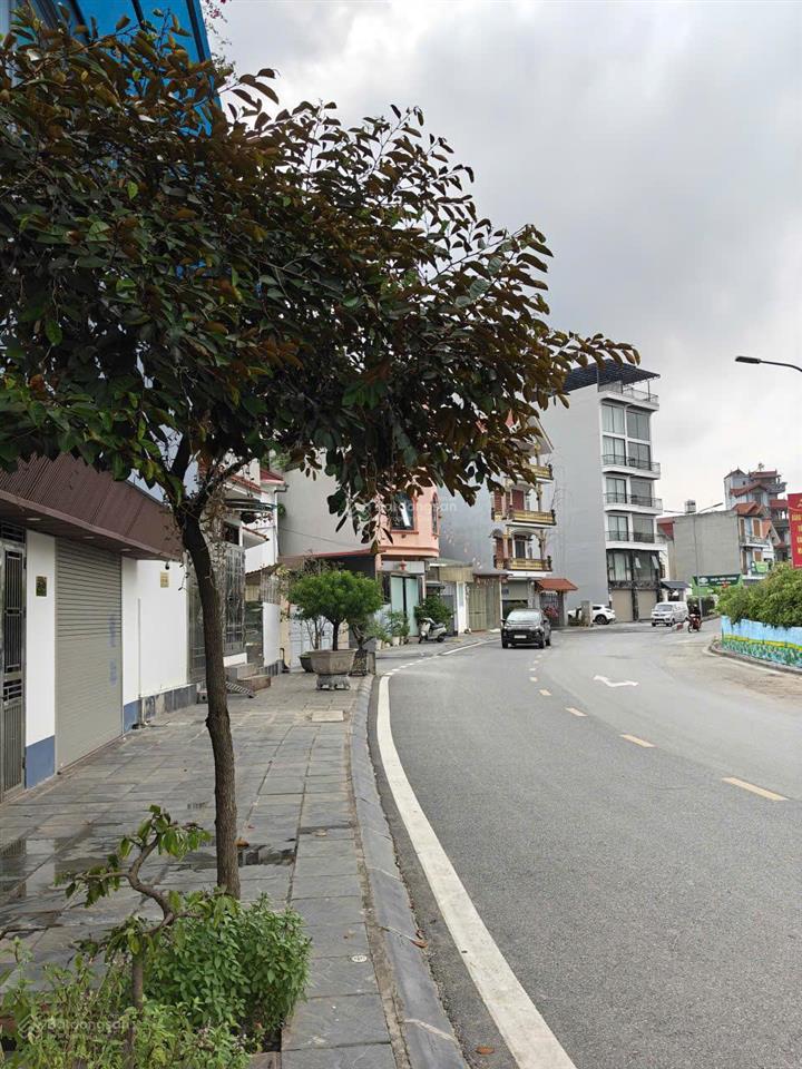 Bán đất tặng nhà mặt đê phúc lợi, dt 315m², mt 12,3m phường phúc lợi, quận long biên.