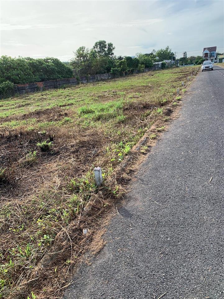 Chính chủ cần bán 100m2 đất mặt tiền, khu dân cư an phát, an viễn, trảng bom, đồng nai