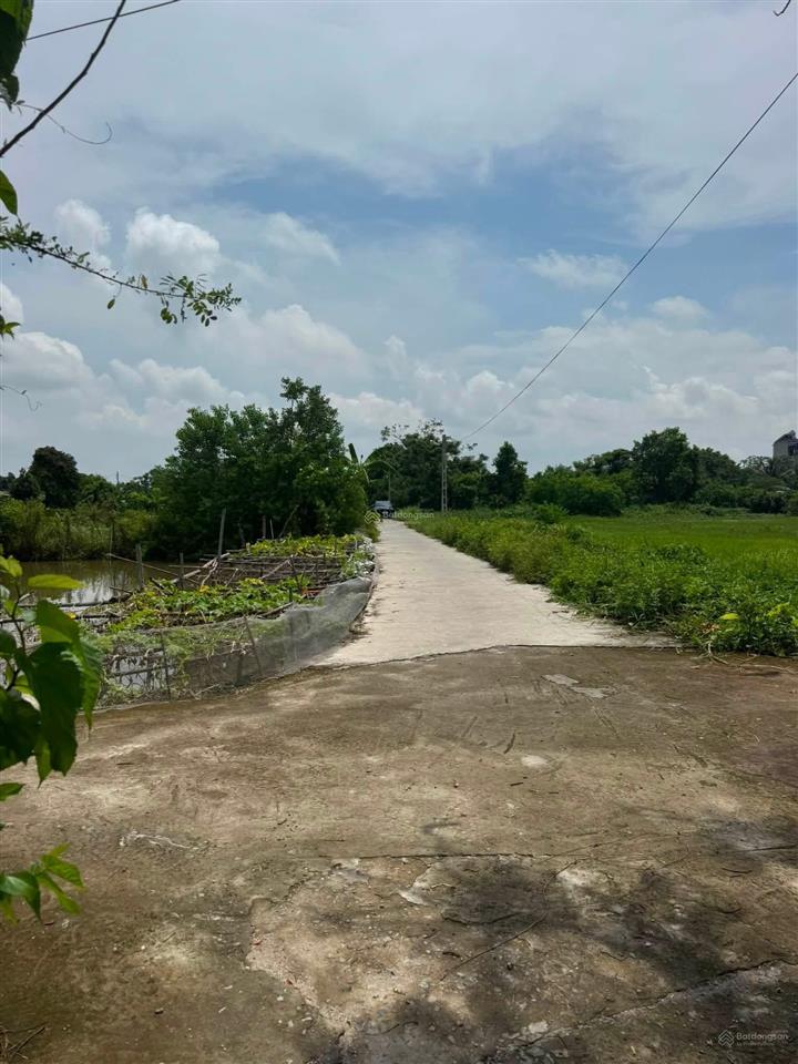 Siêu phẩm đất đấu giá xã nam hồng