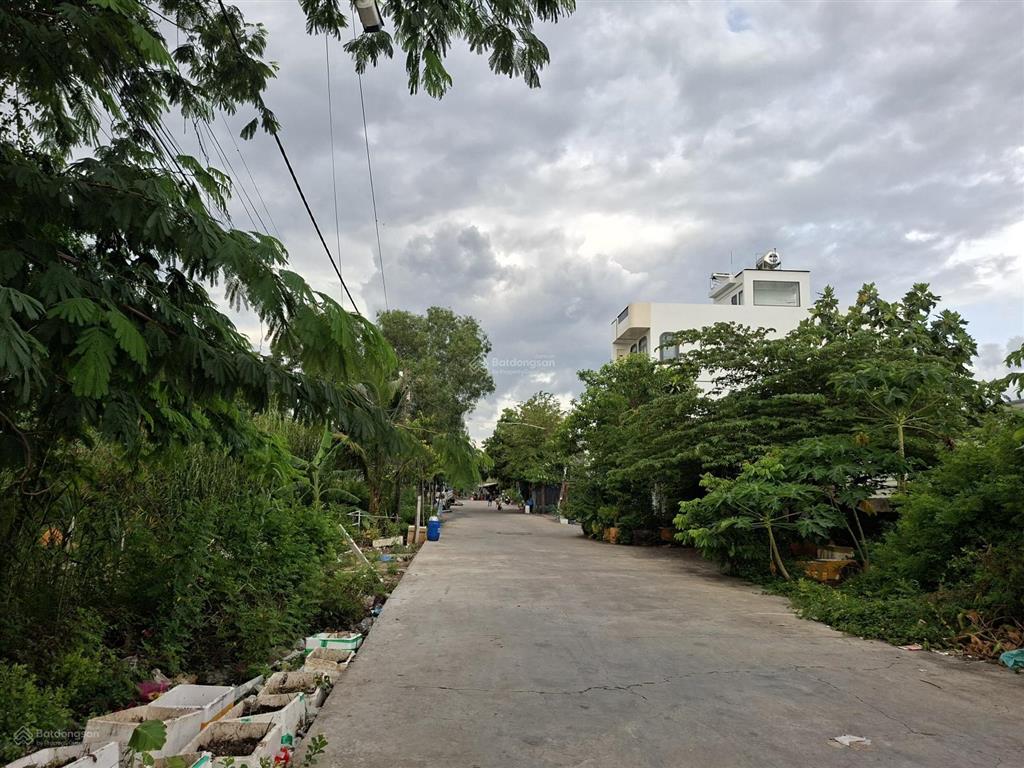 Cần bán đất thổ cư đường số 6 nguyễn văn tạo, nhà bè