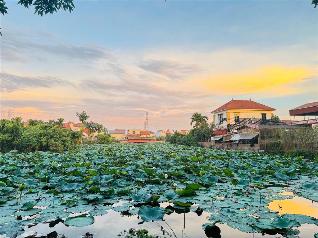 Làm gì còn mảnh đất nào 3 mặt tiền view hồ sen thơm ngát như thế này