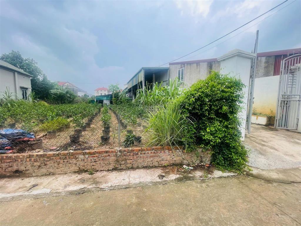 112m2 gần ngay vành đai 4, đại lộ ven sông hồng đường ô tô mà giá chỉ 3xtr/m2