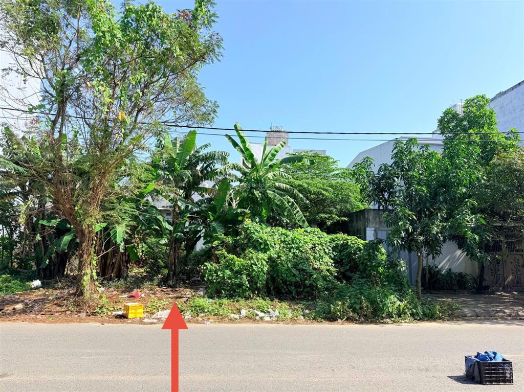 Tuyển tập hàng đoàn chính chủ tại khu đô thị nam việt á  trục chính khu nam việt á  mạnh