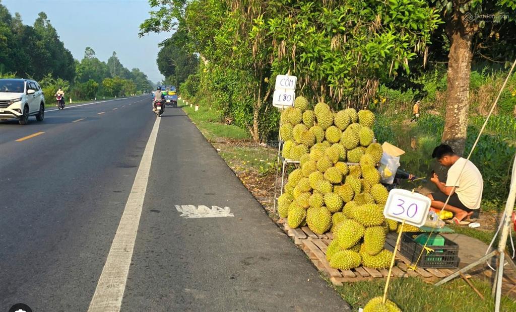 Bán gấp trang trại 4623m2 tại 79a, quốc lộ 61c, hậu giang, giá 9,7 tỷ vnd