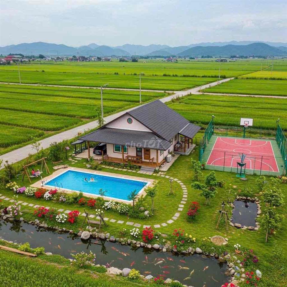 cần bán gấp lô mặt tiền đ: nguyễn thị tồn