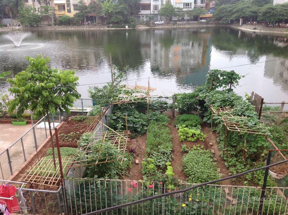 Chính chủ cho thuê nhà mặt hồ bảy gian, đội cấn, ba đình, hà nội