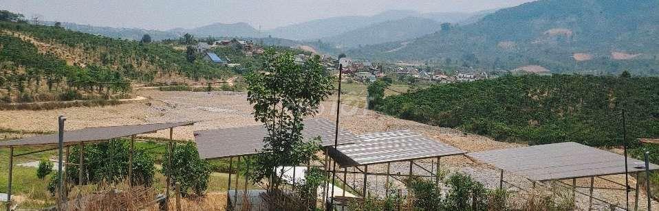 Cần bán vườn Cà phê ngay bên khu sinh thái Hồ Kala , Di Linh