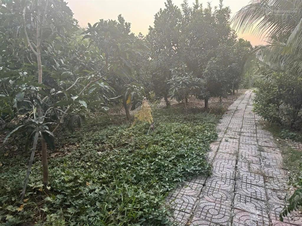 Bán 2257m có 300m đất thổ cư hẻm lớn đào sư tích, phước kiển, nhà bè