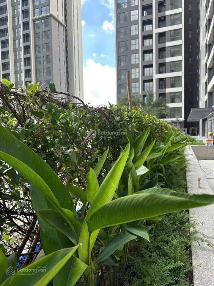 Bán căn hộ 2pn2wc victoria village giá chỉ 5,8 tỷ  xem nhà  0979 479 ***