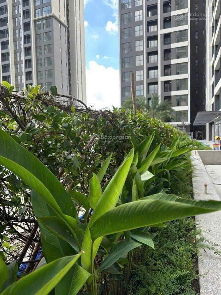 Bán căn hộ 2pn2wc victoria village view sông landmark tầng cao giá chỉ 6,5 tỷ  0979 479 ***