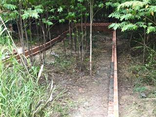 Bán đất 66,3m2 đảo thịnh vượng  tam đa tp.hcm  sổ hồng riêng