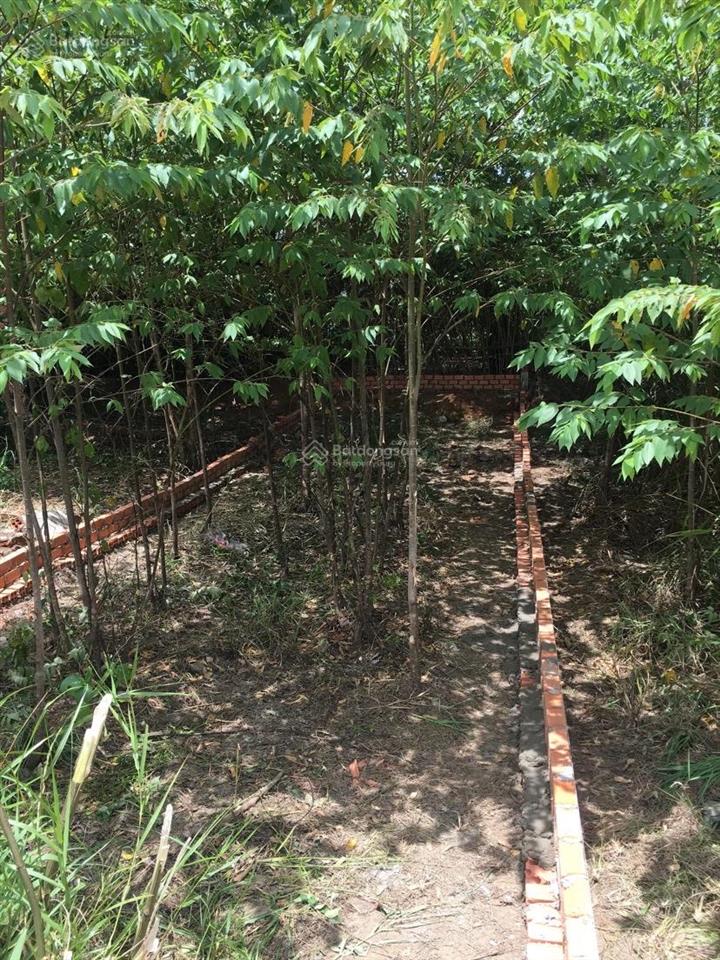 Bán đất 66,3m2 đảo thịnh vượng  long phước tp.hcm  chiều dài 16,6m  sổ hồng riêng