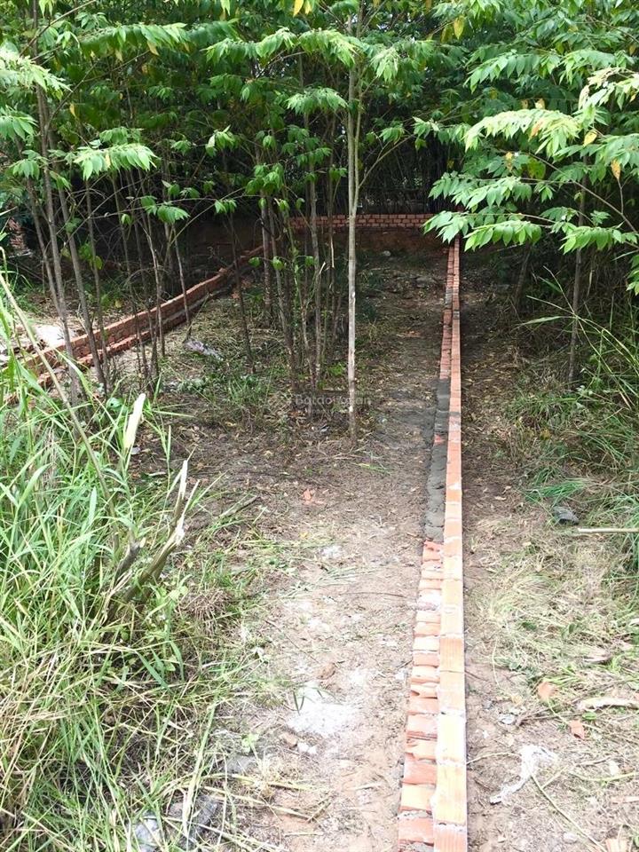 Bán đất 66,3m2 đảo thịnh vượng  long phước tp.hcm  chiều dài 16,6m  sổ hồng riêng