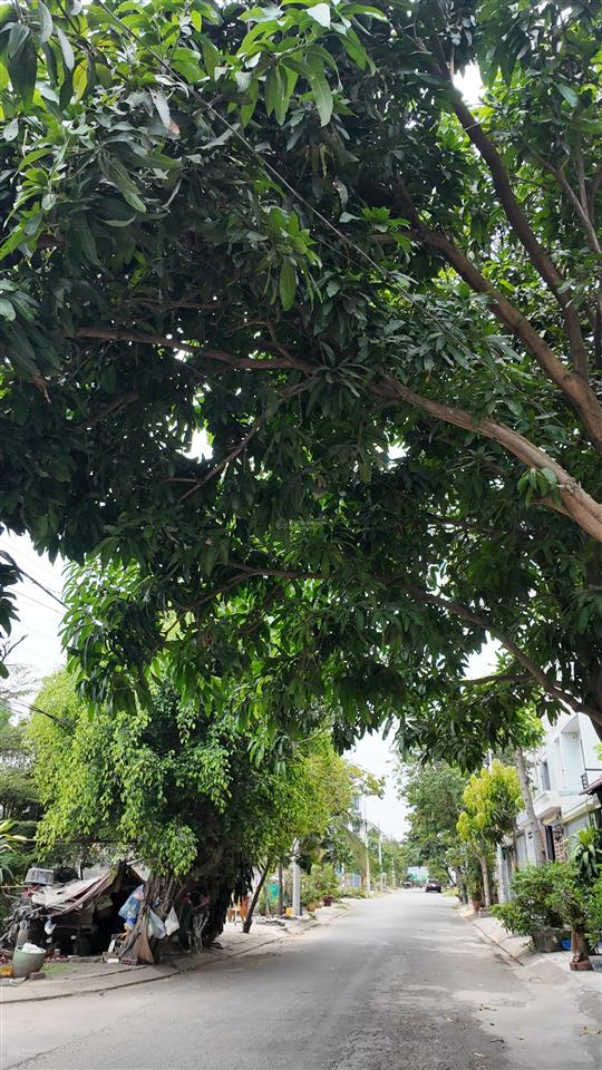 Bán đất khu dân cư an sương | 4.5m x 20m | giá 8 tỷ thương lượng