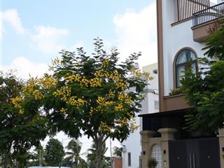 Bán đất nền gốc dự án king hill residences, 3,05 tỷ, 118m2, xã thanh phú, huyện bến lức, long an