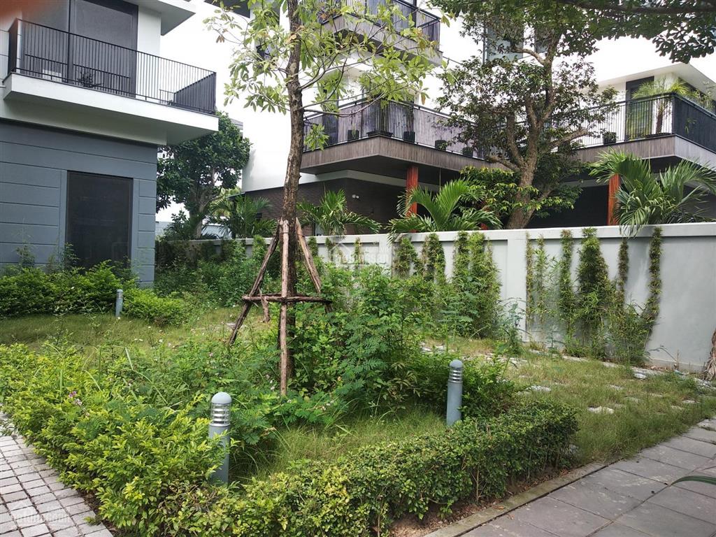 Chính chủ bán biệt thự bt5 splendora an khánh, dt 270m2, hướng đông. vị trí đẹp
