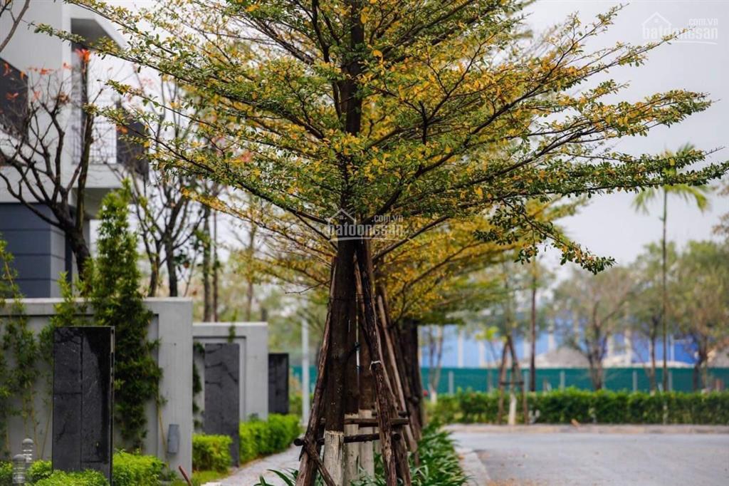 Chính chủ bán biệt thự bt5 splendora an khánh, dt 270m2, hướng đông. vị trí đẹp
