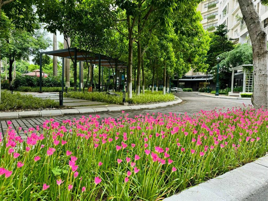 Chính chủ bán biệt thự bt5 splendora an khánh, dt 270m2, hướng đông. vị trí đẹp