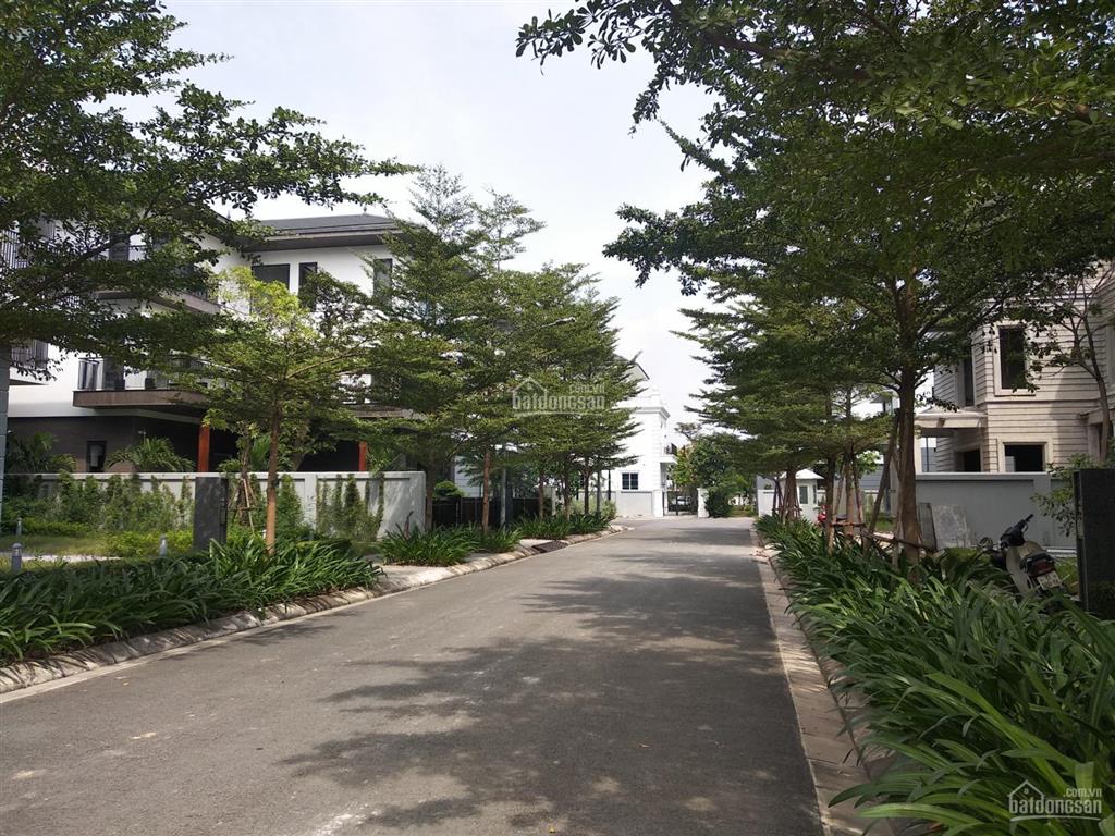 Chính chủ bán biệt thự bt5 splendora an khánh, dt 270m2, hướng đông. vị trí đẹp