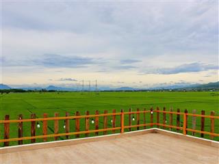 Cho thuê vận hành căn villa view cánh đồng cực xịn! bạn nào muốn thử sức có thể tham khảo
