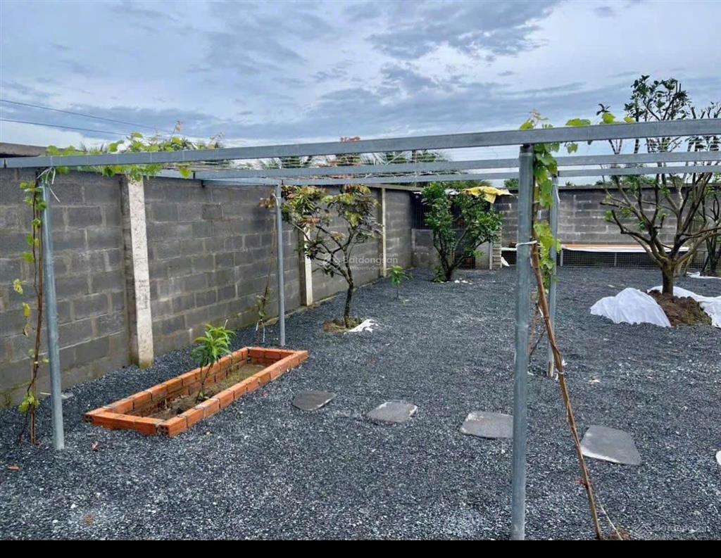 849,5m2 nhà có khuôn viên cây xanh mận xoài nho shr ngang 22m2 giá 1,6 tỷ. 0902 713 ***