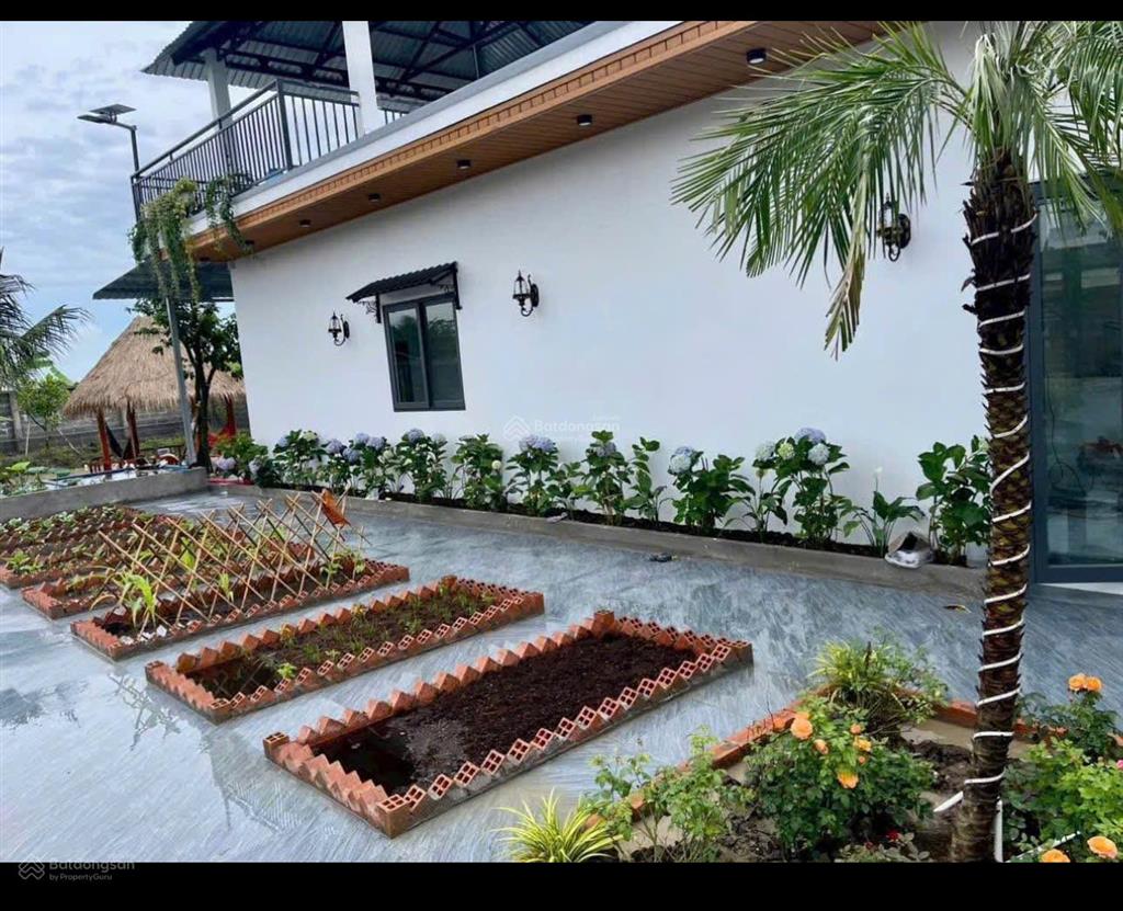 849,5m2 nhà có khuôn viên cây xanh mận xoài nho shr ngang 22m2 giá 1,6 tỷ. 0902 713 ***