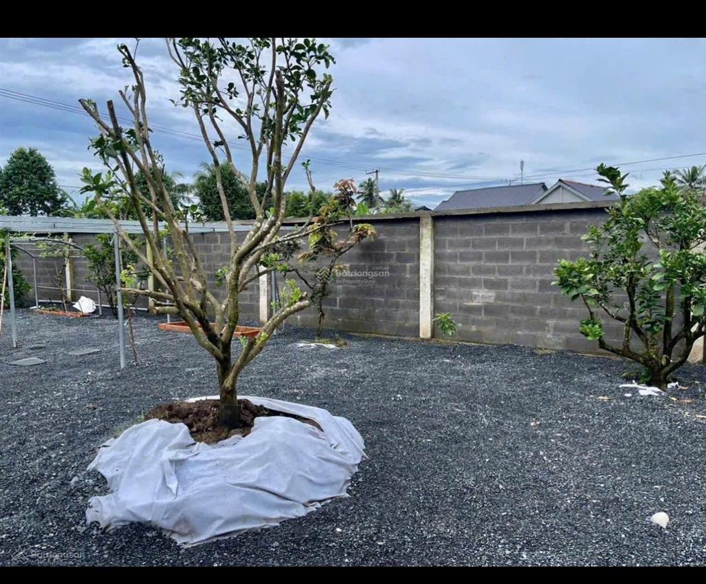849,5m2 nhà có khuôn viên cây xanh mận xoài nho shr ngang 22m2 giá 1,6 tỷ. 0902 713 ***