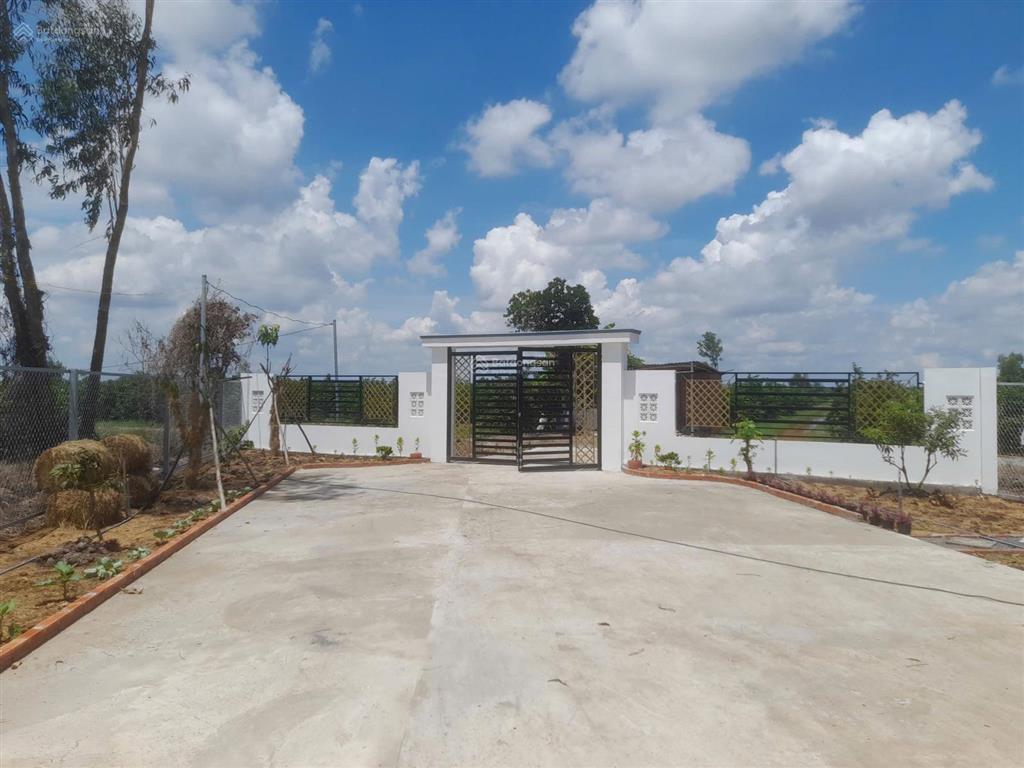1,5 tỷ nhà vườn nghỉ dưỡng 1225m2 ngang 14x 91m shr. nhà mới vô ở ngay. y hình