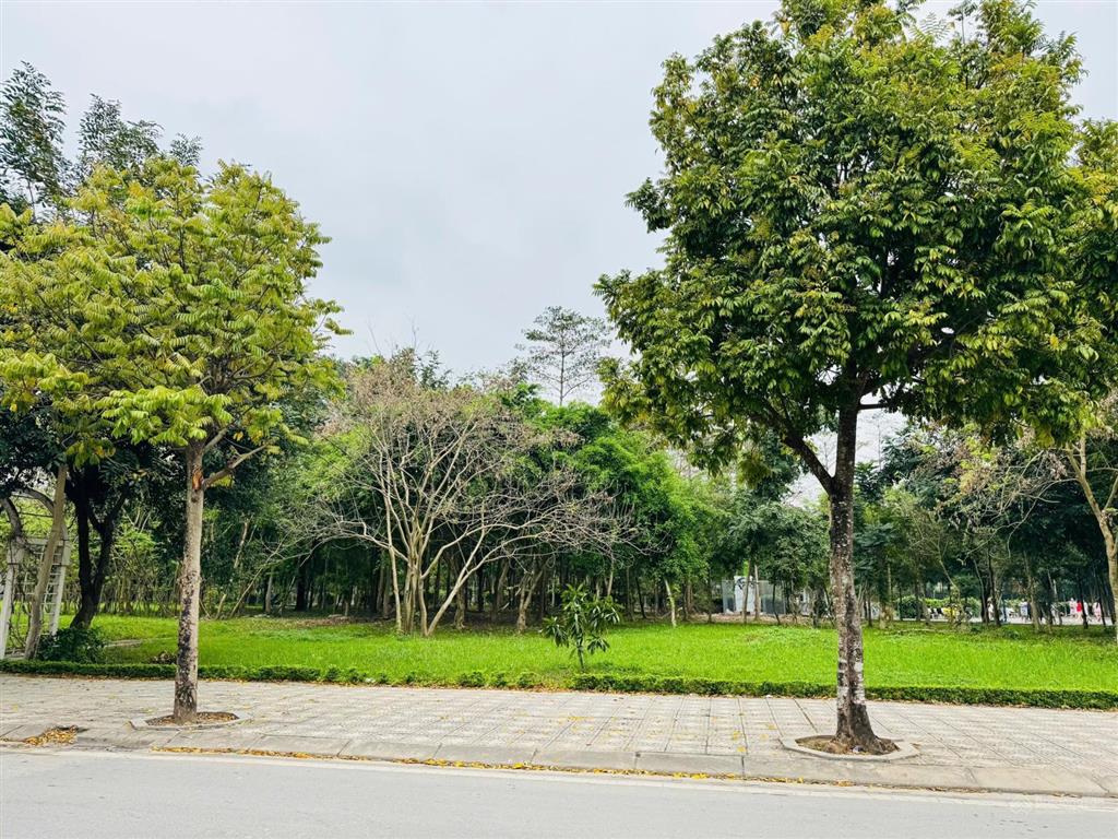 Bán biệt thự bt15 khu đô thị tasco xuân phương, giá tốt