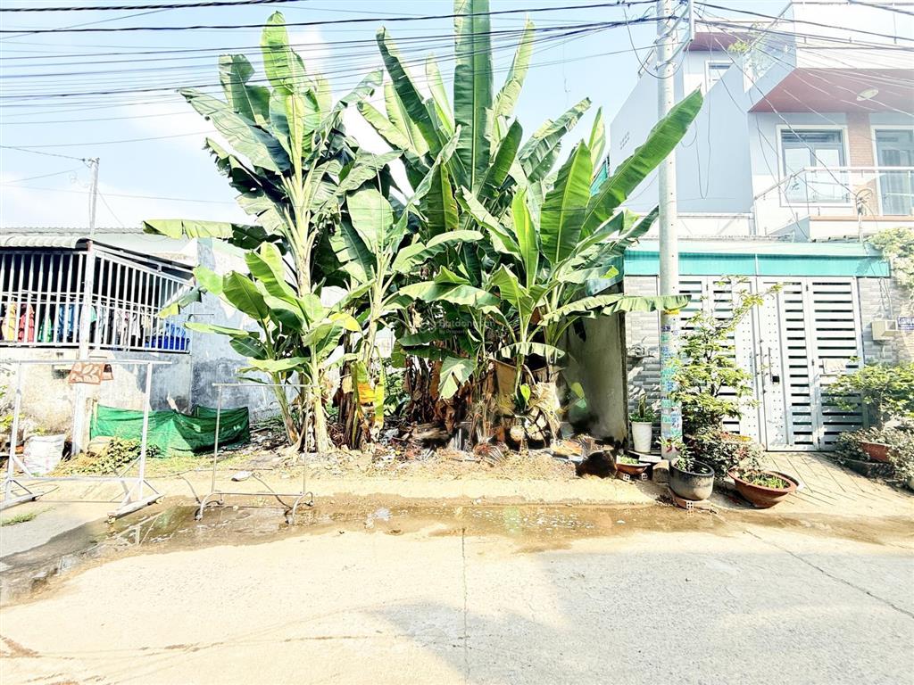 Bán đất tại nguyễn xiển, long thạnh mỹ, quận 9, tp. hcm, giá tốt đối diện cổng khu đô thị vinhomes