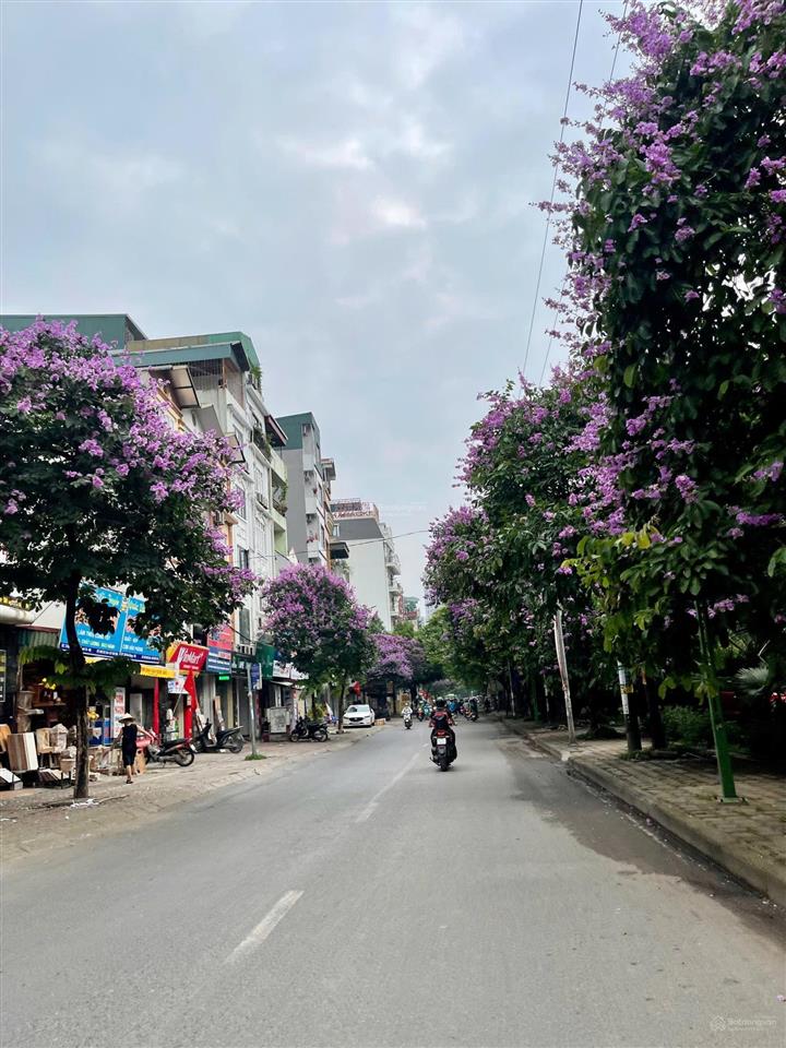 Chính chủ bán nhà riêng 2 tầng, mặt phố kim giang, phường thanh liệt, thuận tiện kinh doanh. sđcc