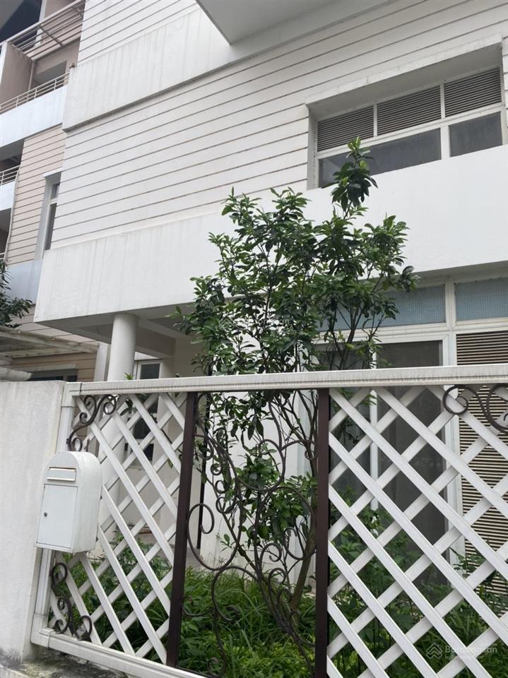 Cho thuê liền kề full đồ splendora giá 16 triệu full đồ như hình  0984 204 ***