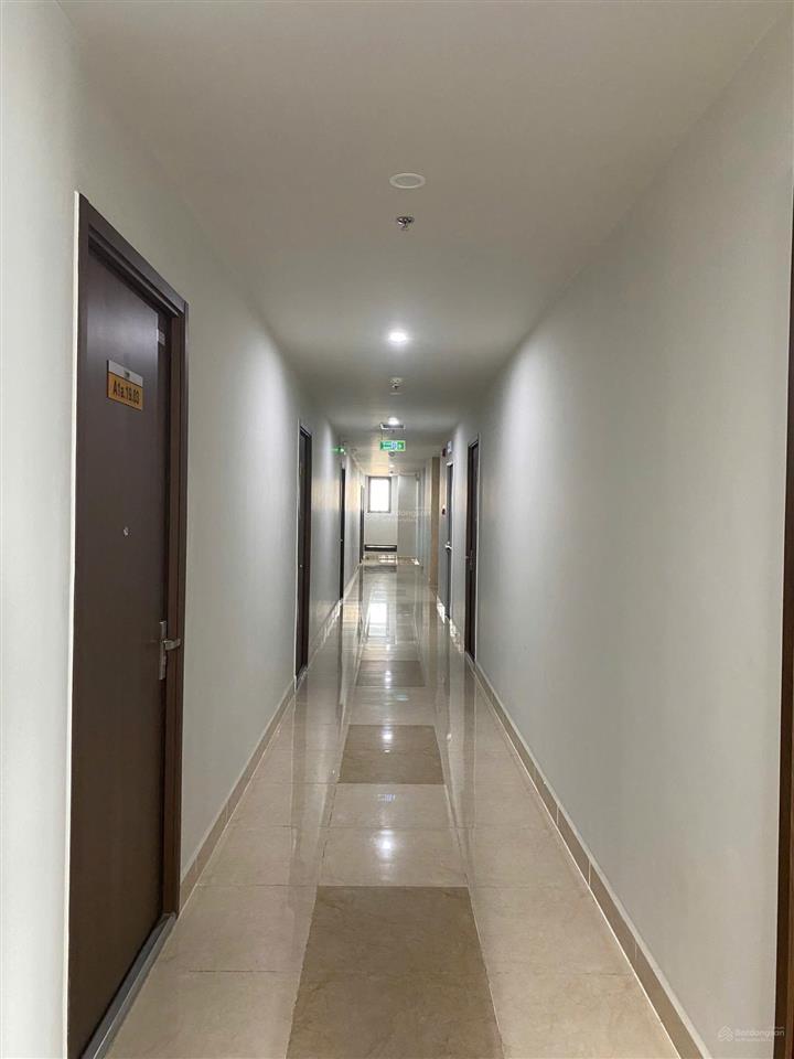Căn hộ tầng 19 view triệu đô nhưng giá thuê chỉ bằng phòng trọ cao cấp!