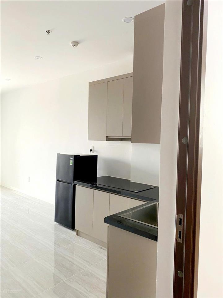 Căn hộ tầng 19 view triệu đô nhưng giá thuê chỉ bằng phòng trọ cao cấp!