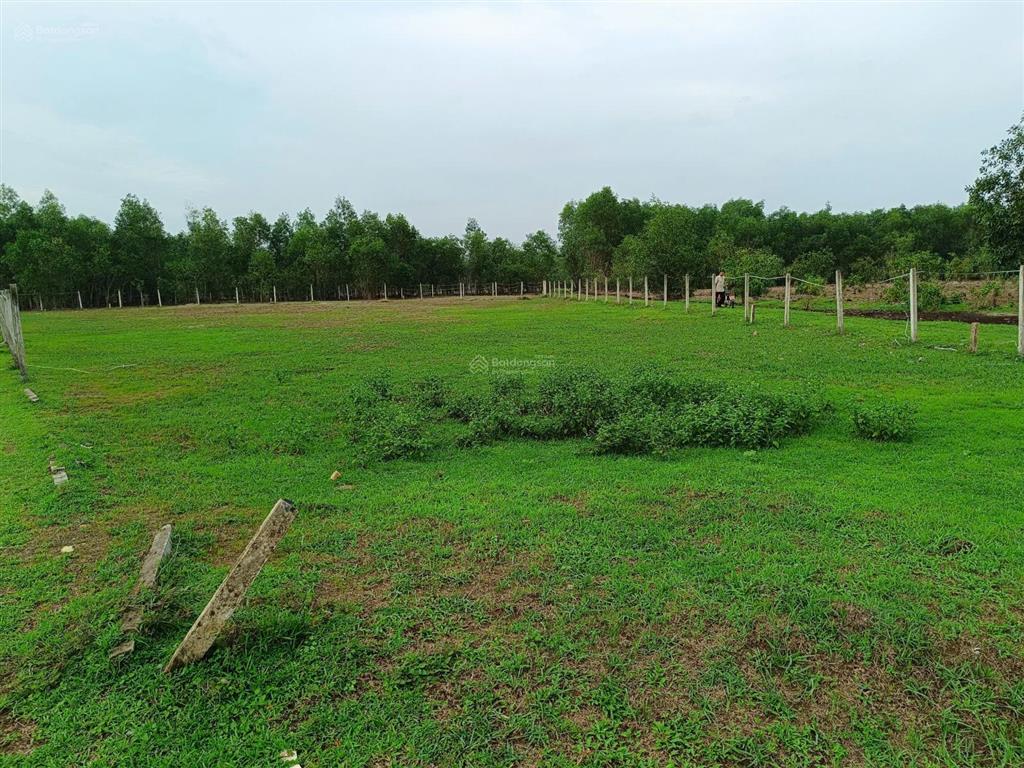 Chính chủ cần bán gấp lô đất 2mt, xã bình châu, dt 2132m2.  0866 797 ***